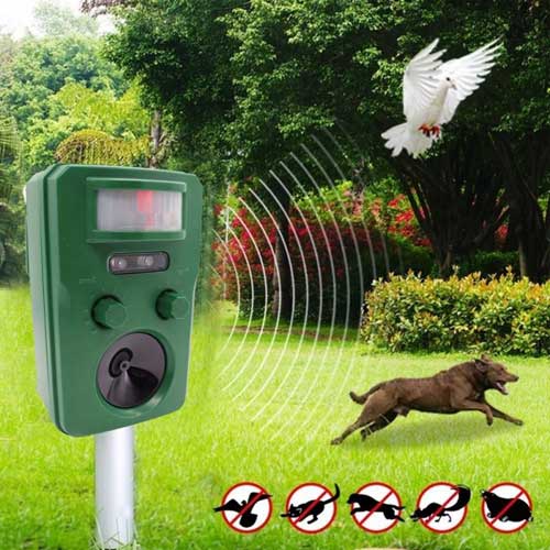 Životinjski plašič